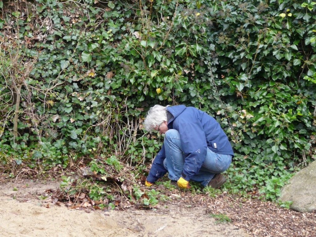 Hecke